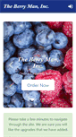 Mobile Screenshot of dev.berrymanprices.com